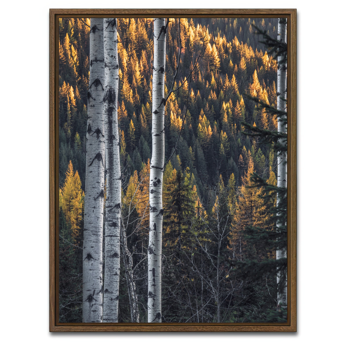 AUTO-MOCKUP WHITE | Bonanza Pass | 1 Piece | Walnut Framed Canvas | group=3x4