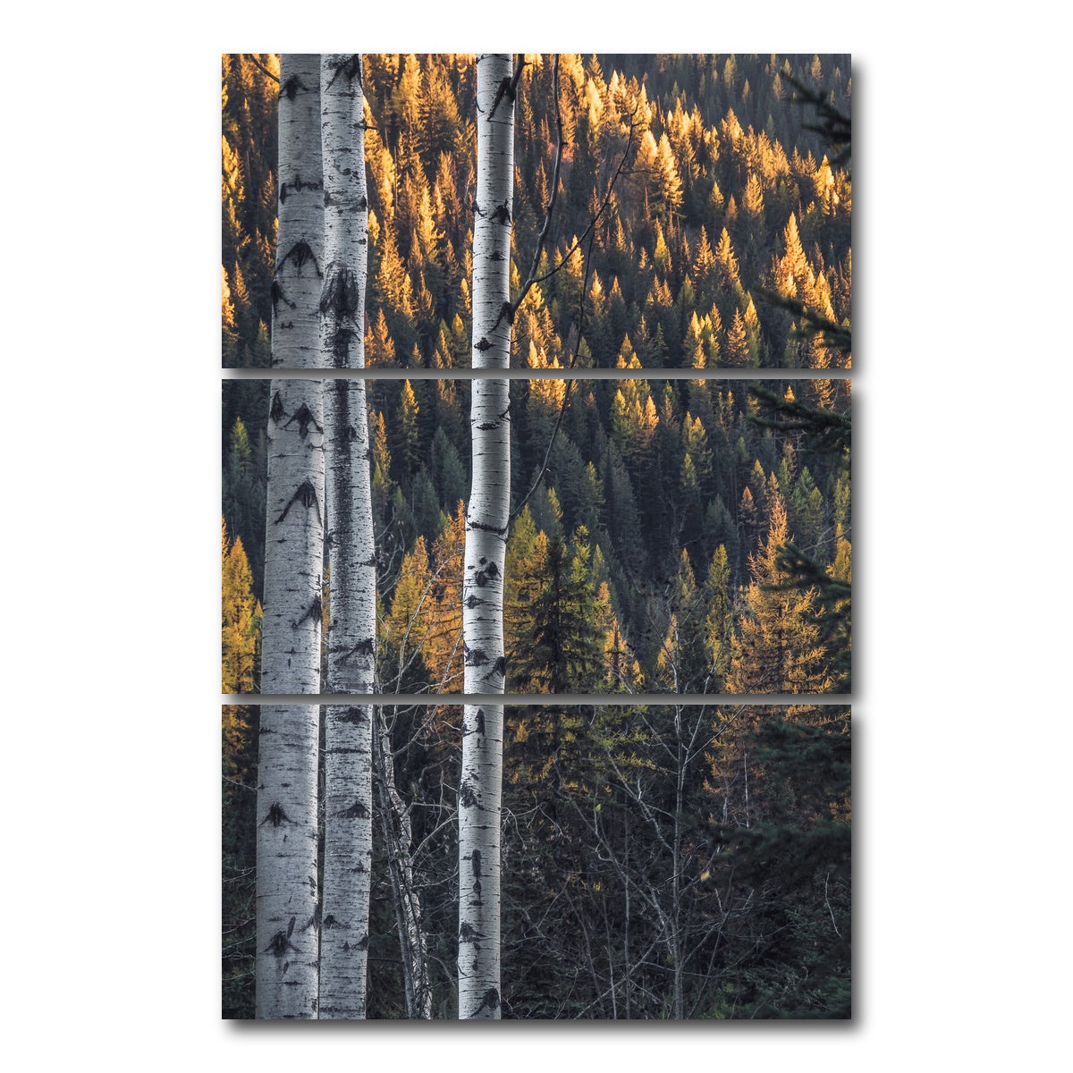 AUTO-MOCKUP WHITE | Bonanza Pass | 3 Piece | Gallery Wrap Canvas | group=12x24_stacked
