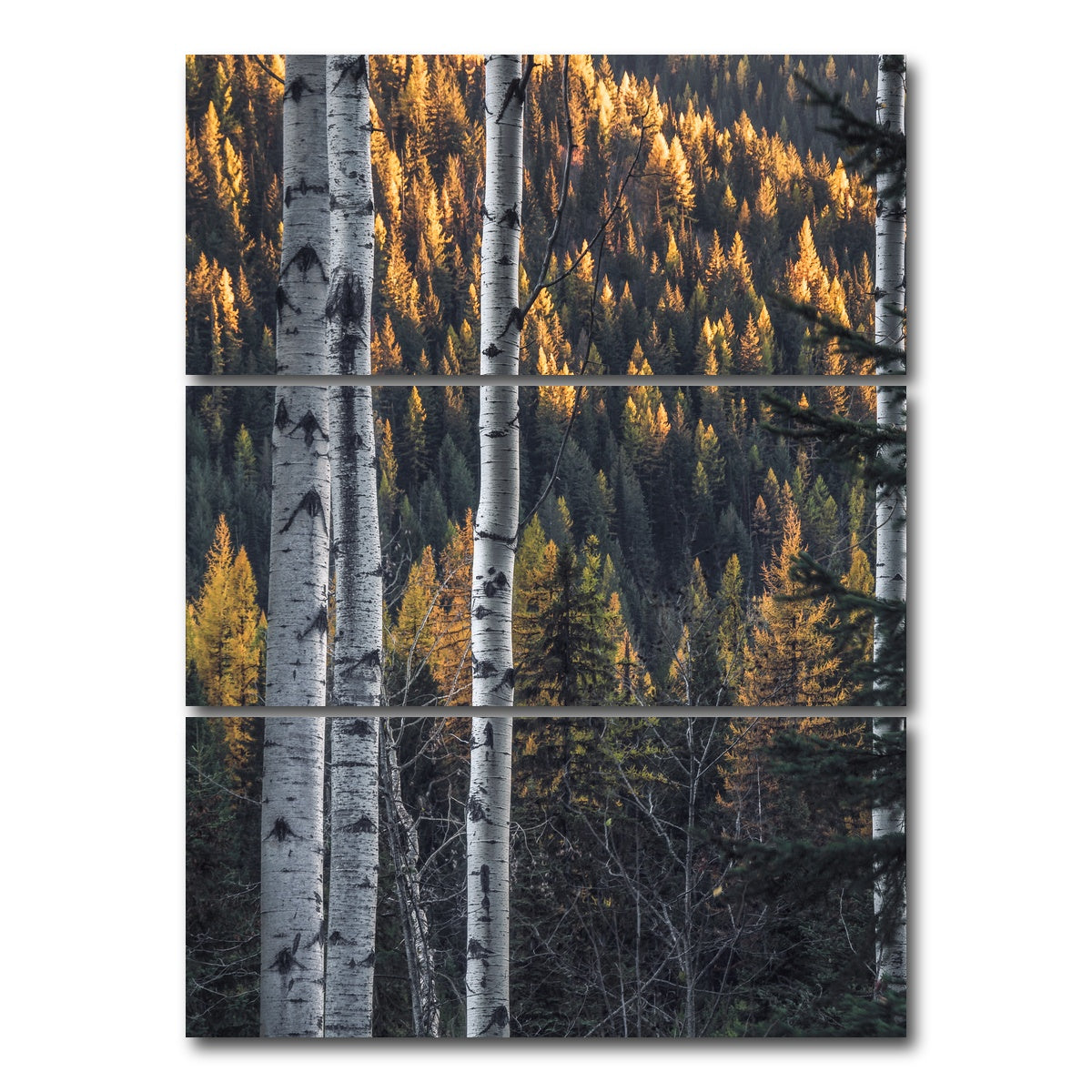 AUTO-MOCKUP WHITE | Bonanza Pass | 3 Piece | Gallery Wrap Canvas | group=8x18_stacked