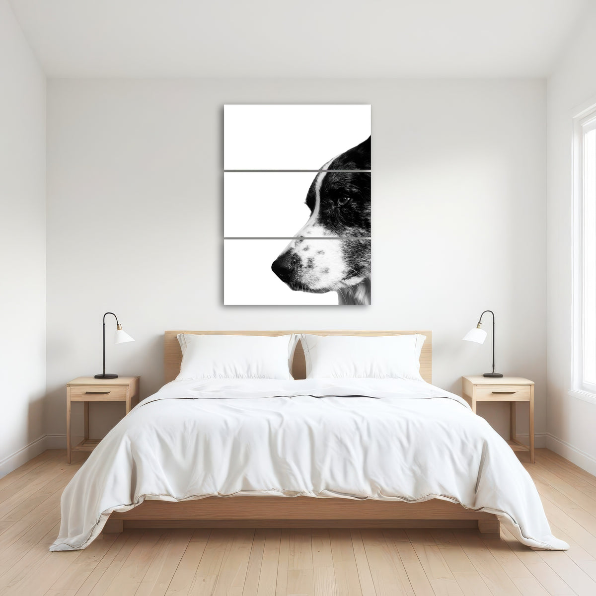 AUTO-MOCKUP ROOM | Border Collie