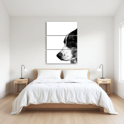 AUTO-MOCKUP ROOM | Border Collie