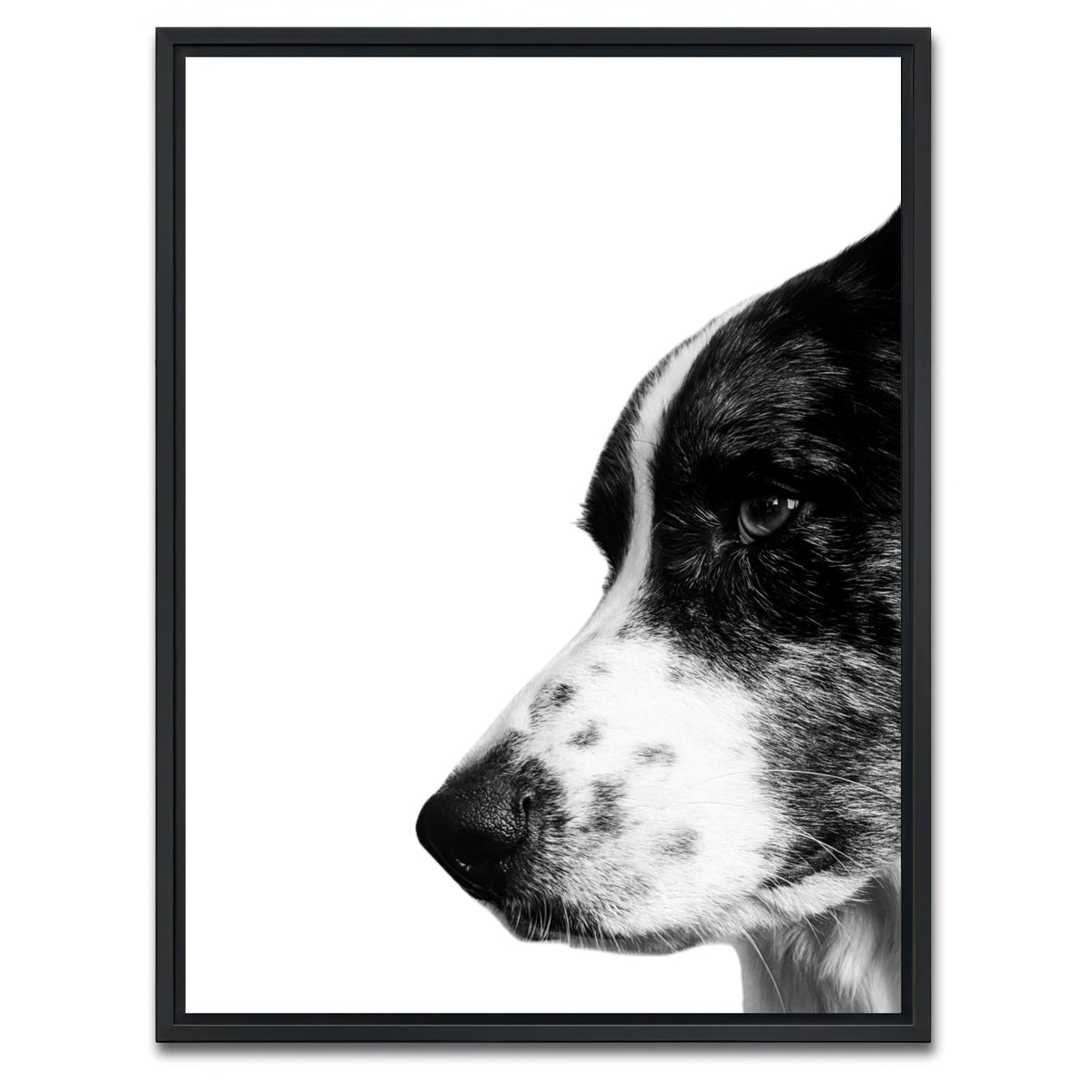 AUTO-MOCKUP WHITE | Border Collie | 1 Piece | Black Framed Canvas | group=3x4