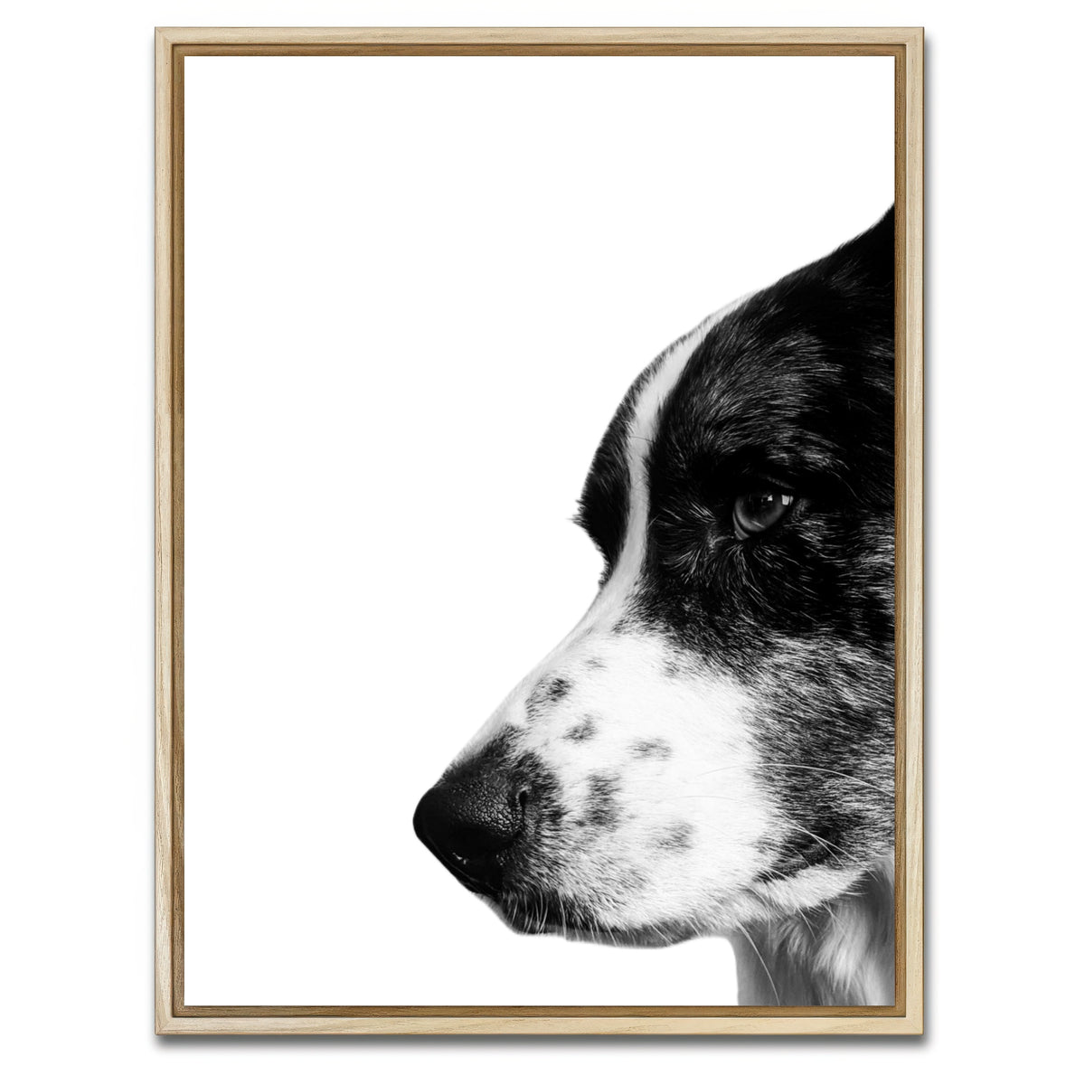 AUTO-MOCKUP WHITE | Border Collie | 1 Piece | Natural Framed Canvas | group=3x4