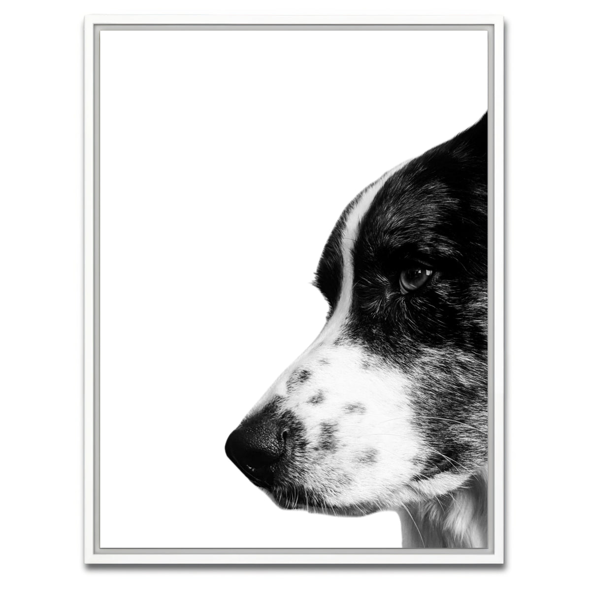 AUTO-MOCKUP WHITE | Border Collie | 1 Piece | White Framed Canvas | group=3x4