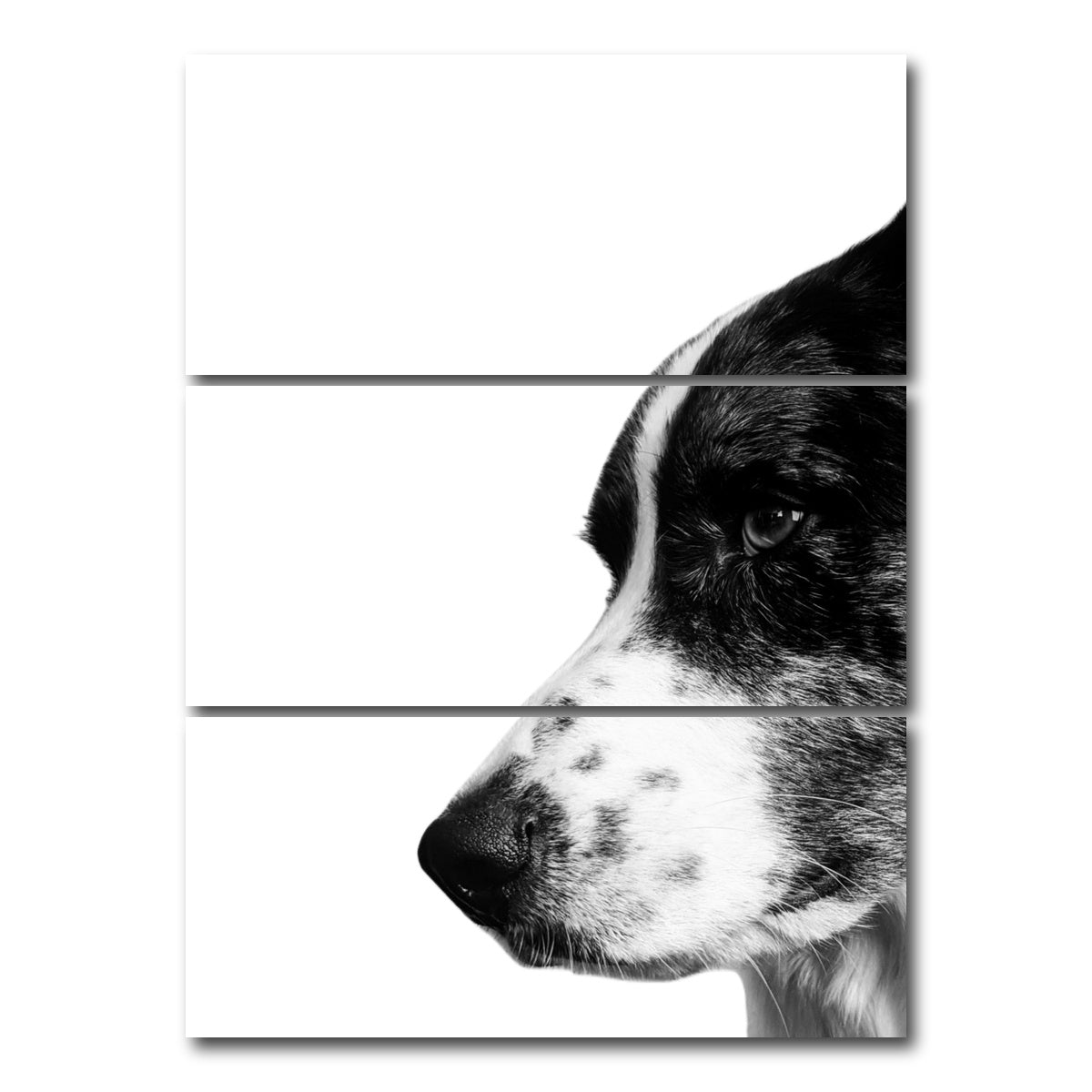 AUTO-MOCKUP WHITE | Border Collie | 3 Piece | Gallery Wrap Canvas | group=8x18_stacked
