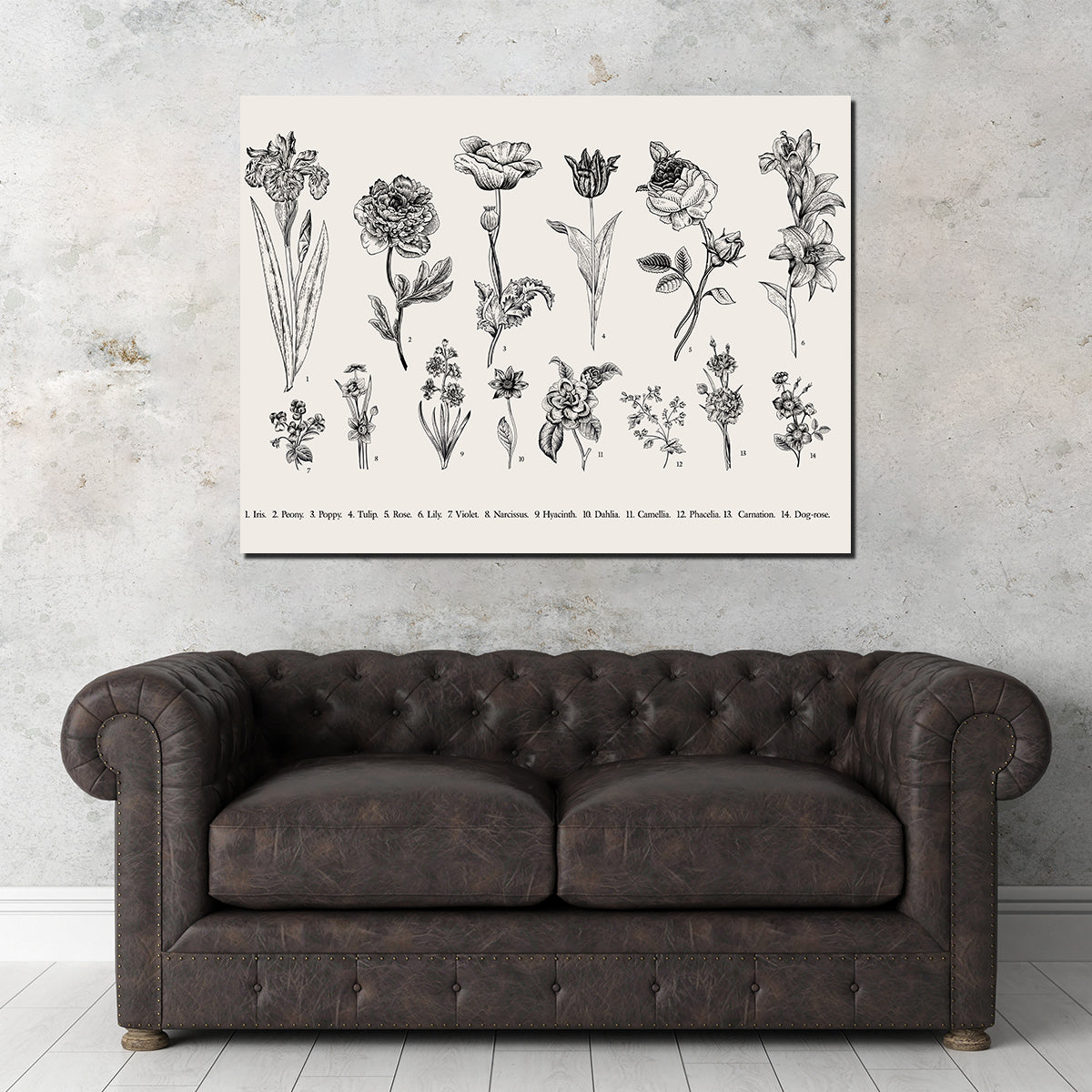 Botany Set Vintage Flowers Wall Art