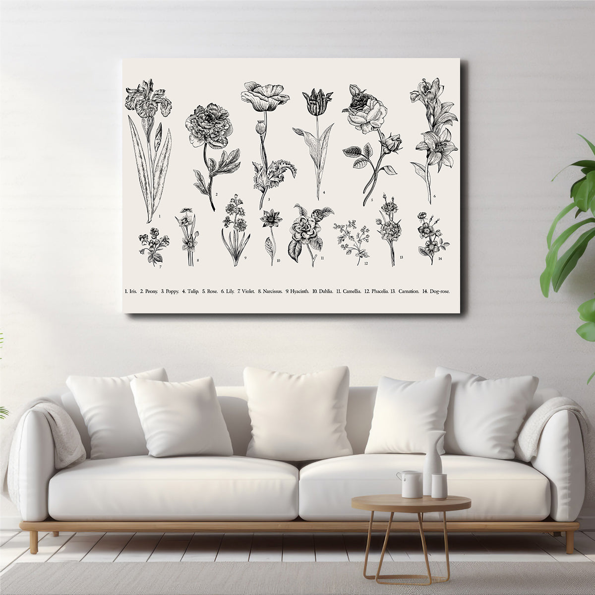 Botany Set Vintage Flowers Wall Art