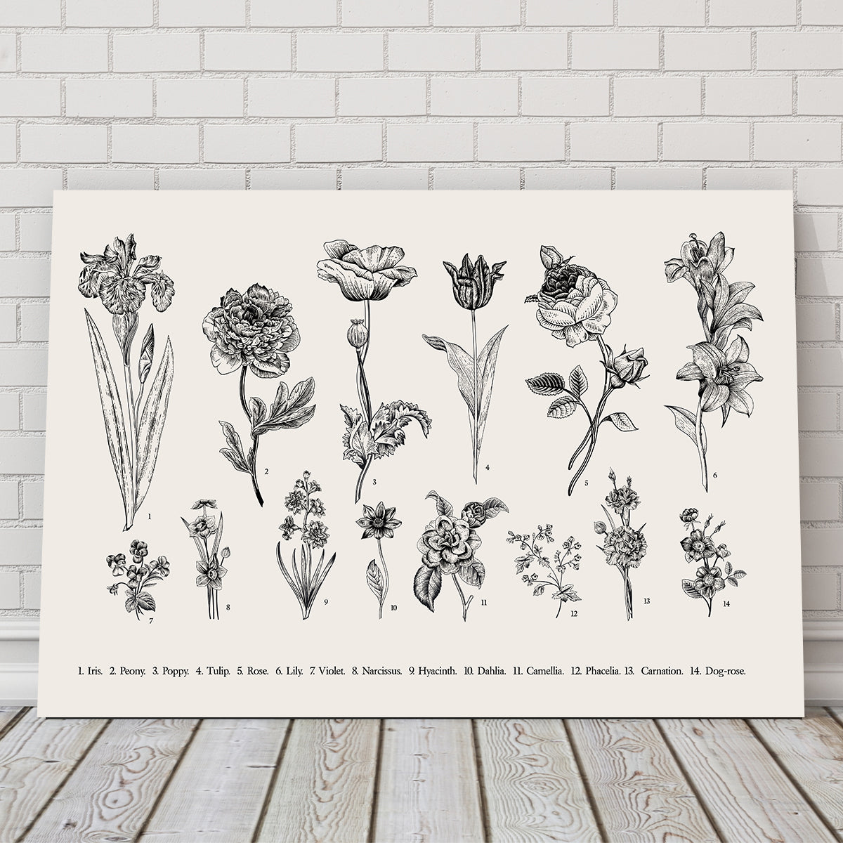 Botany Set Vintage Flowers Wall Art