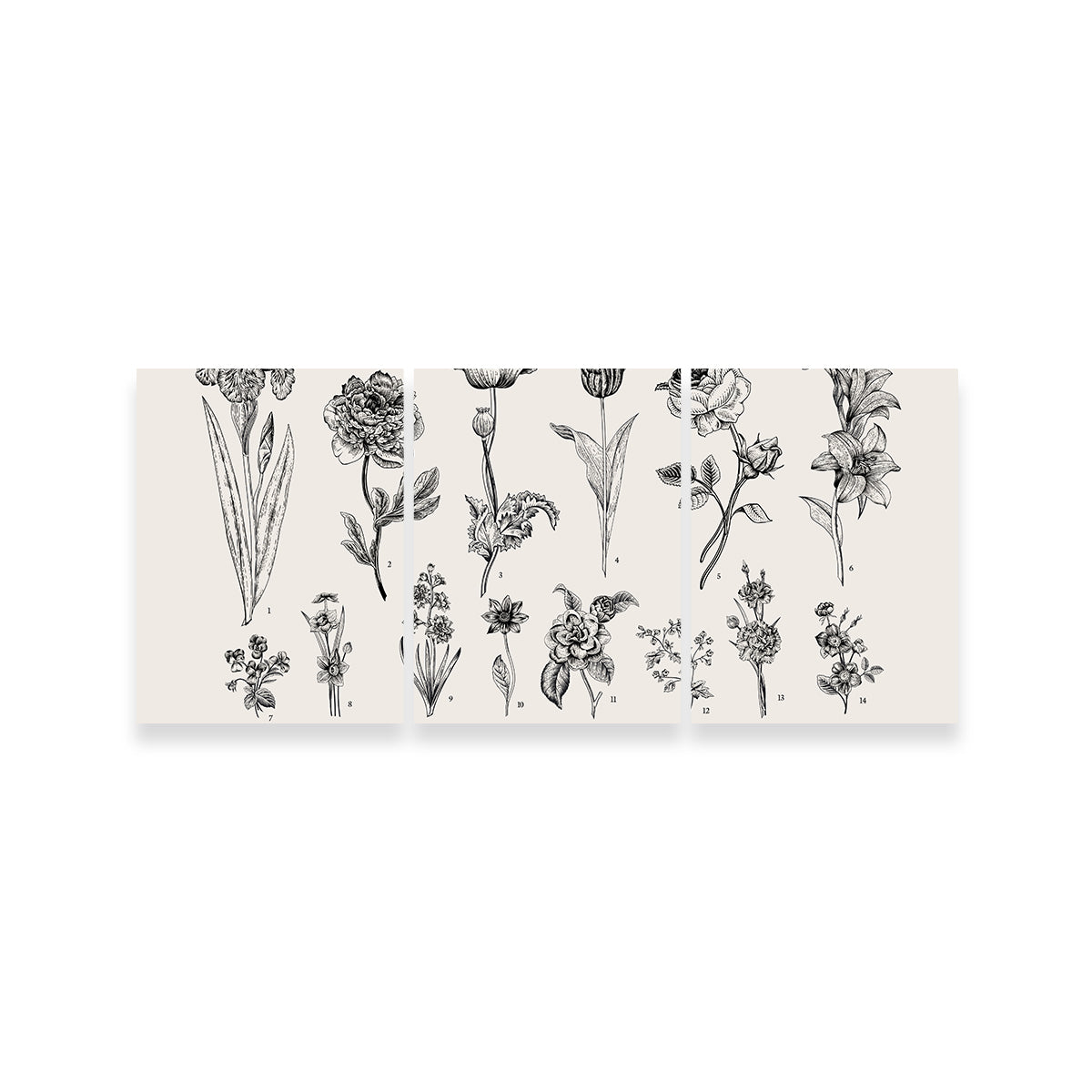 Botany Set Vintage Flowers Wall Art