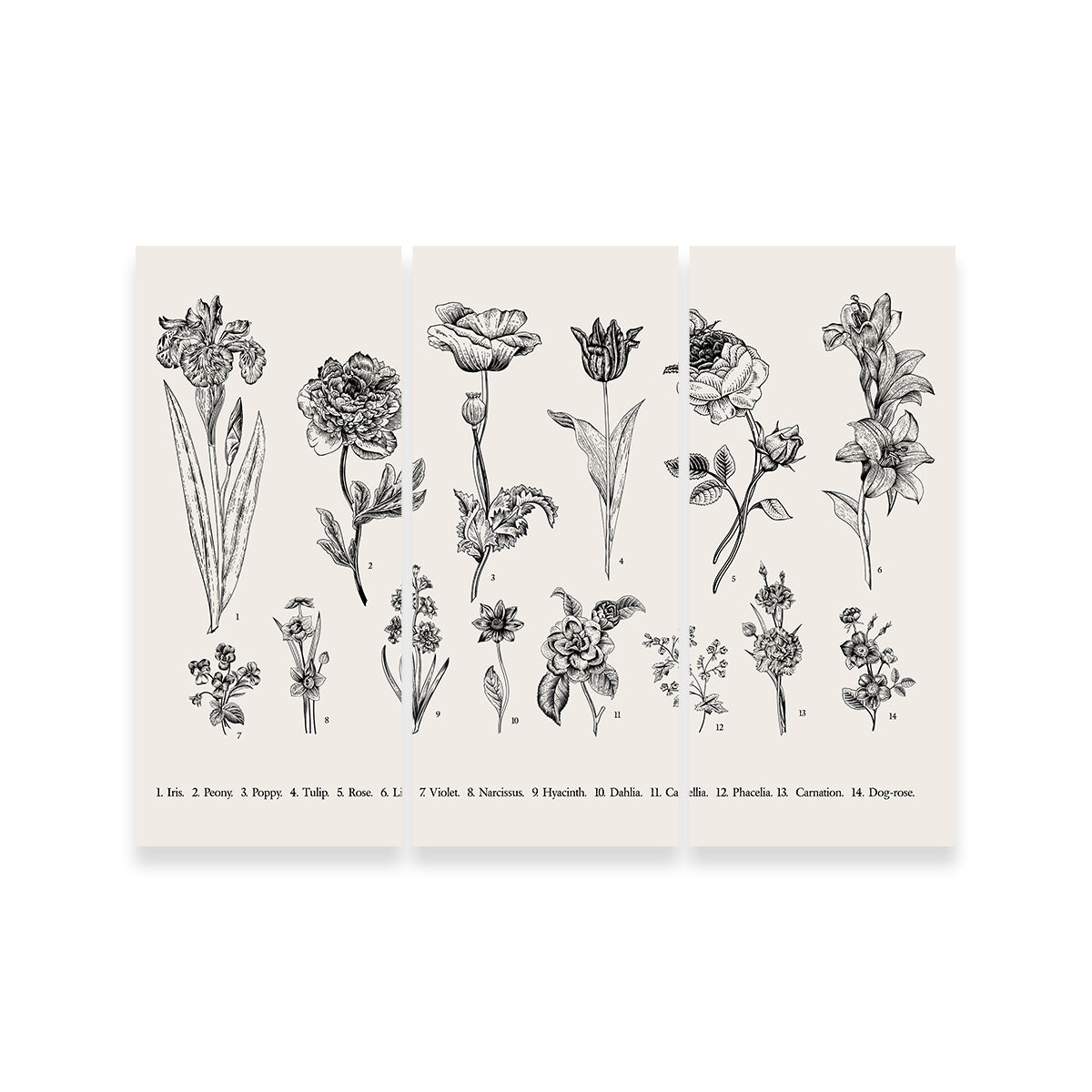 Botany Set Vintage Flowers Wall Art