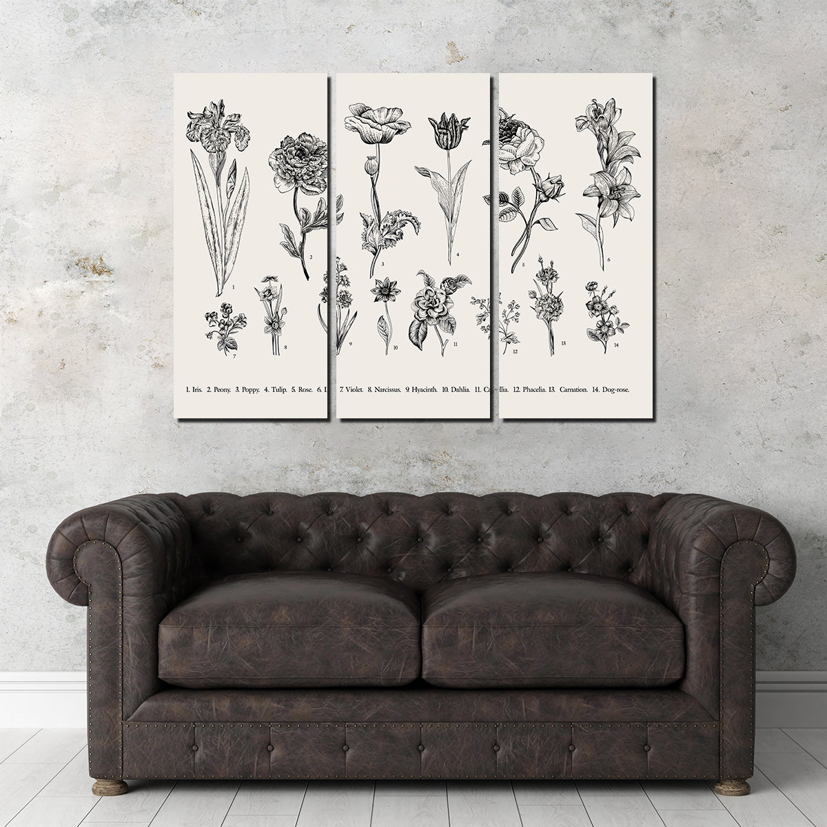 Botany Set Vintage Flowers Wall Art