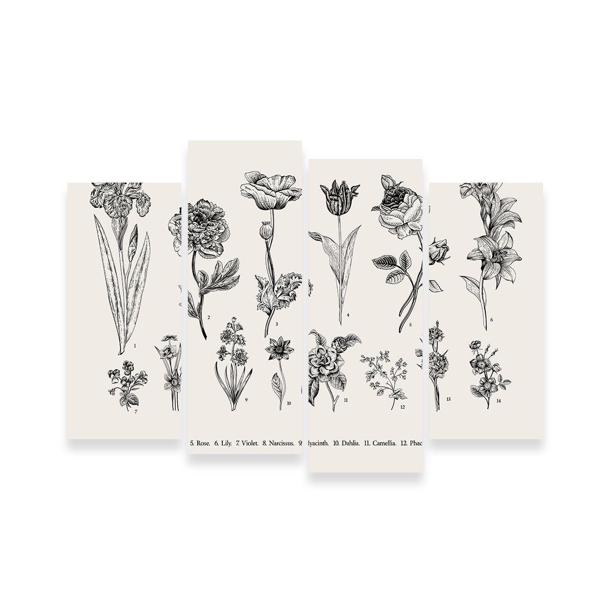 Botany Set Vintage Flowers Wall Art