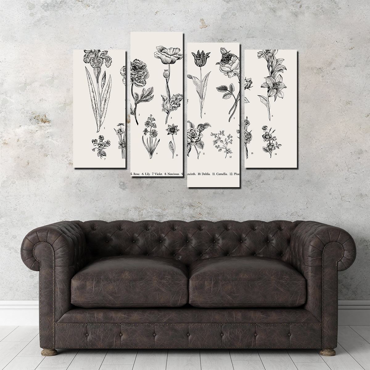 Botany Set Vintage Flowers Wall Art