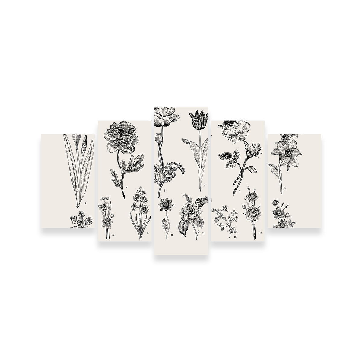 Botany Set Vintage Flowers Wall Art