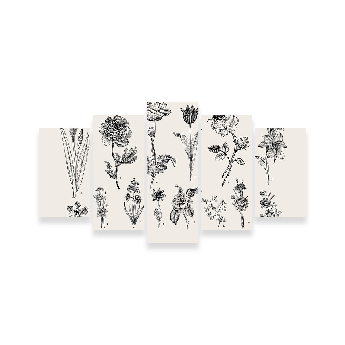 Botany Set Vintage Flowers