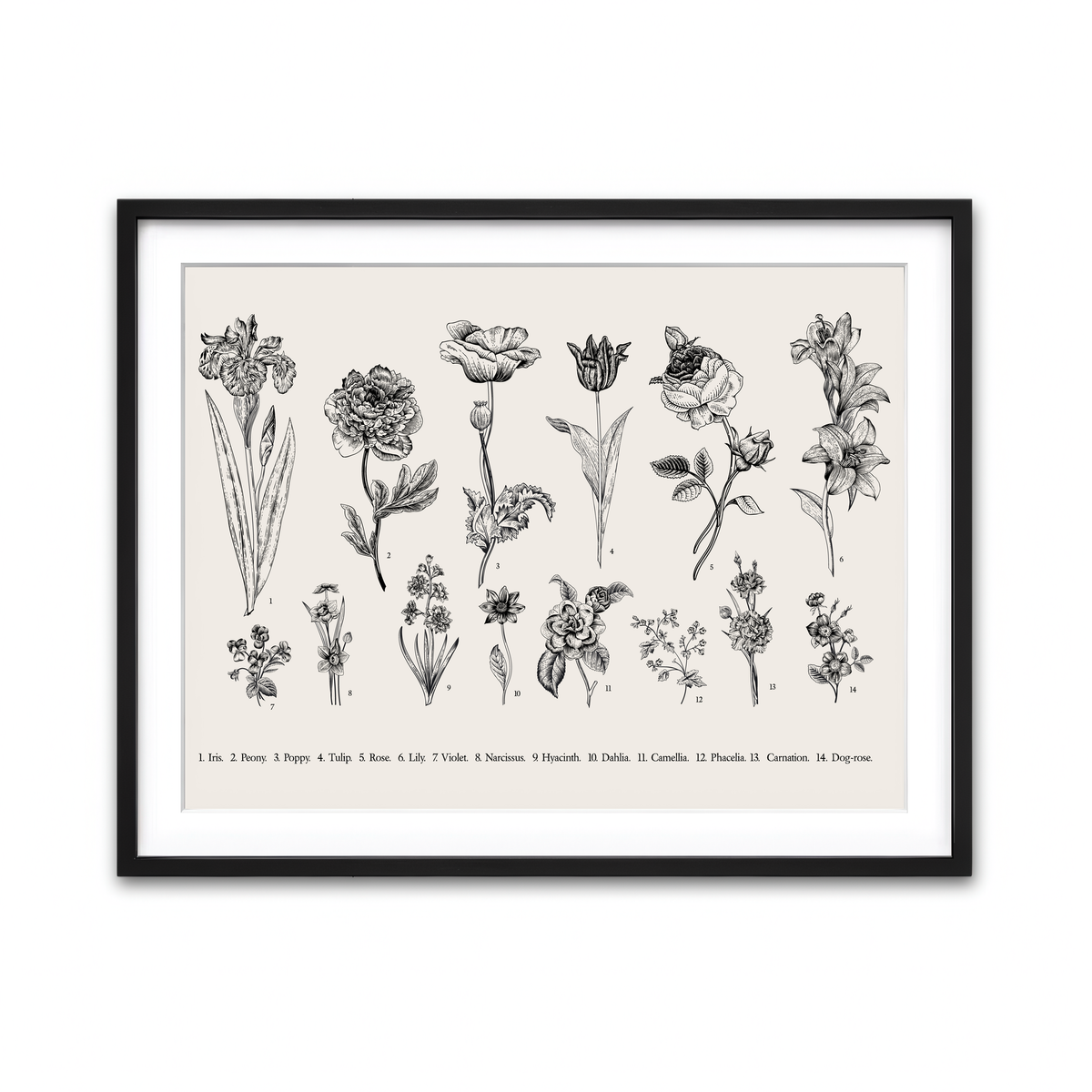 Framed Print 4x3 Black