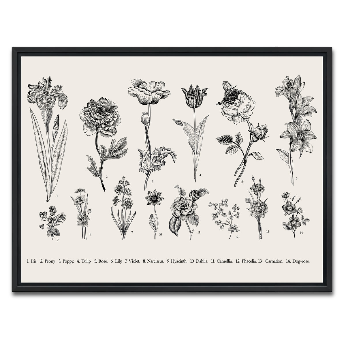 AUTO-MOCKUP WHITE | Botany Set Vintage Flowers | 1 Piece | Black Framed Canvas | group=4x3