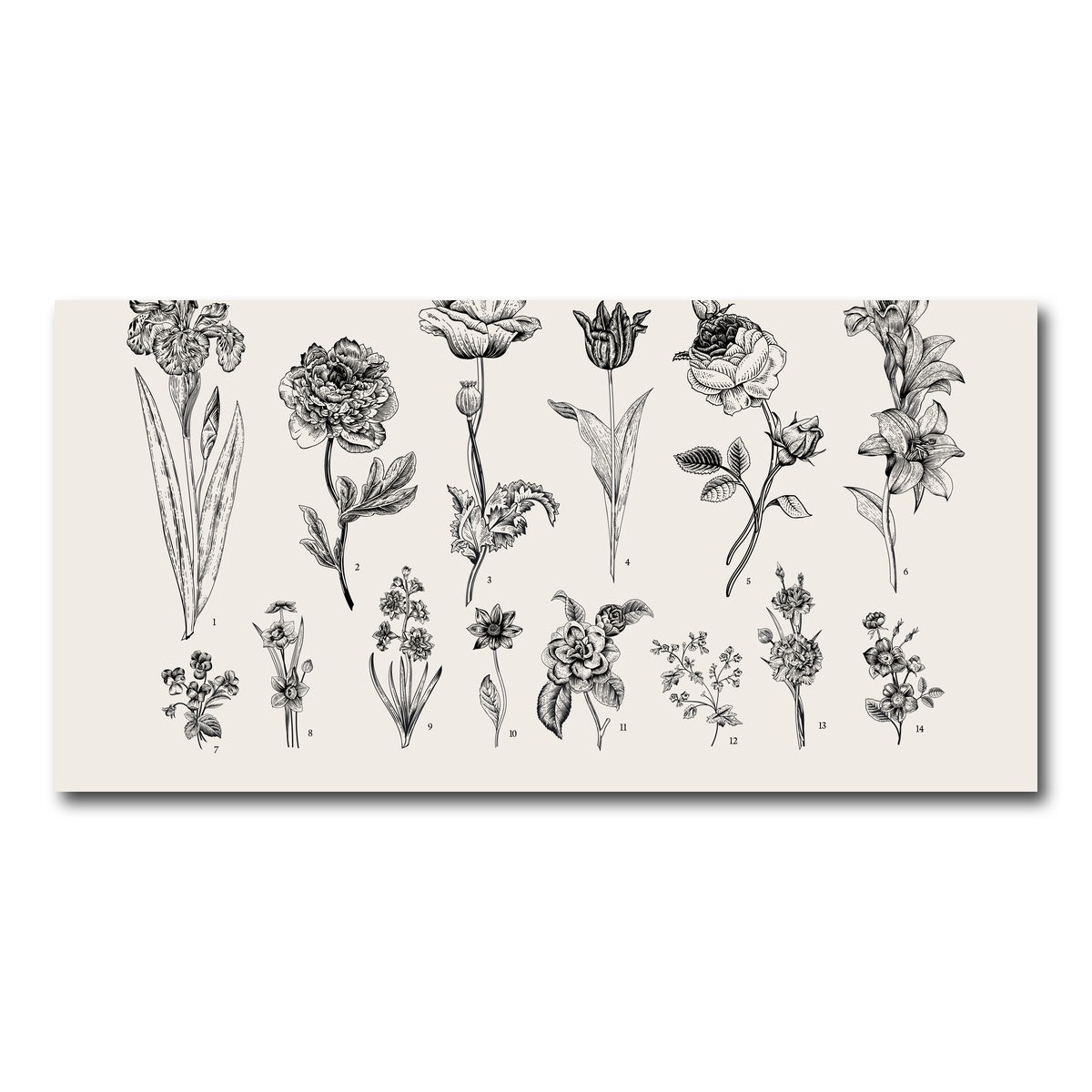 AUTO-MOCKUP WHITE | Botany Set Vintage Flowers | 1 Piece | Gallery Wrap Canvas | group=2x1