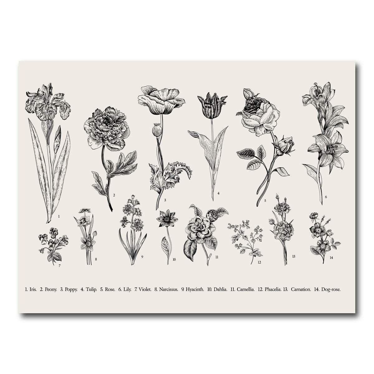 AUTO-MOCKUP WHITE | Botany Set Vintage Flowers | 1 Piece | Gallery Wrap Canvas | group=4x3