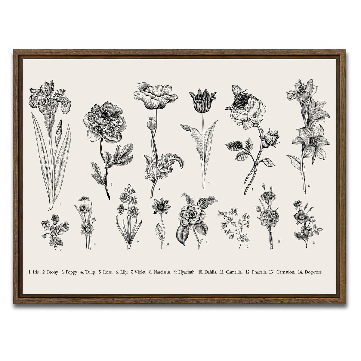 AUTO-MOCKUP WHITE | Botany Set Vintage Flowers | 1 Piece | Walnut Framed Canvas | group=4x3