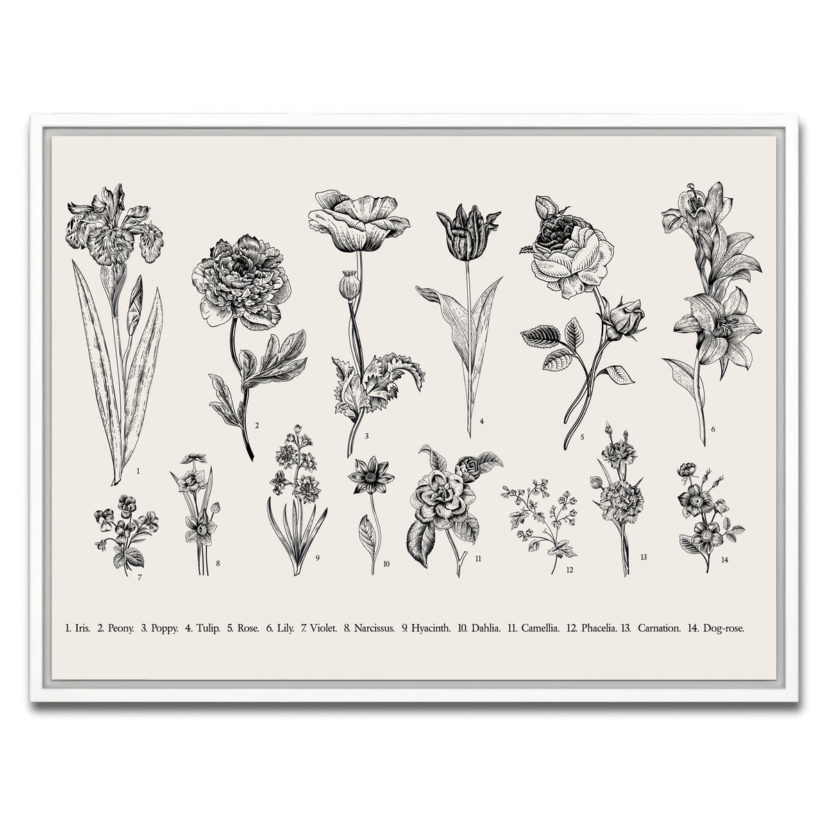 AUTO-MOCKUP WHITE | Botany Set Vintage Flowers | 1 Piece | White Framed Canvas | group=4x3