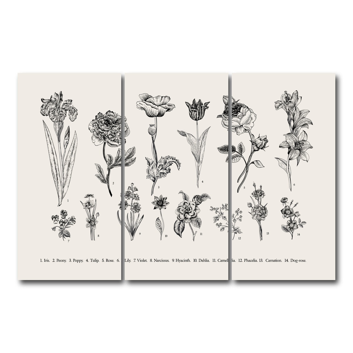 AUTO-MOCKUP WHITE | Botany Set Vintage Flowers | 3 Piece | Gallery Wrap Canvas | group=12x24