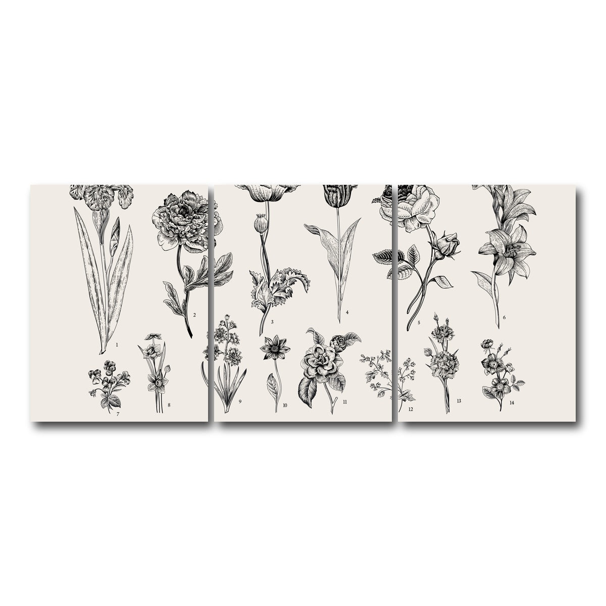 AUTO-MOCKUP WHITE | Botany Set Vintage Flowers | 3 Piece | Gallery Wrap Canvas | group=18x24