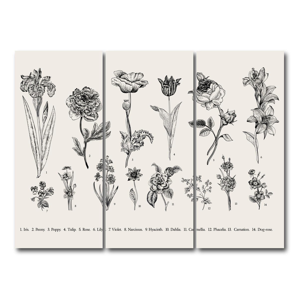 AUTO-MOCKUP WHITE | Botany Set Vintage Flowers | 3 Piece | Gallery Wrap Canvas | group=8x18