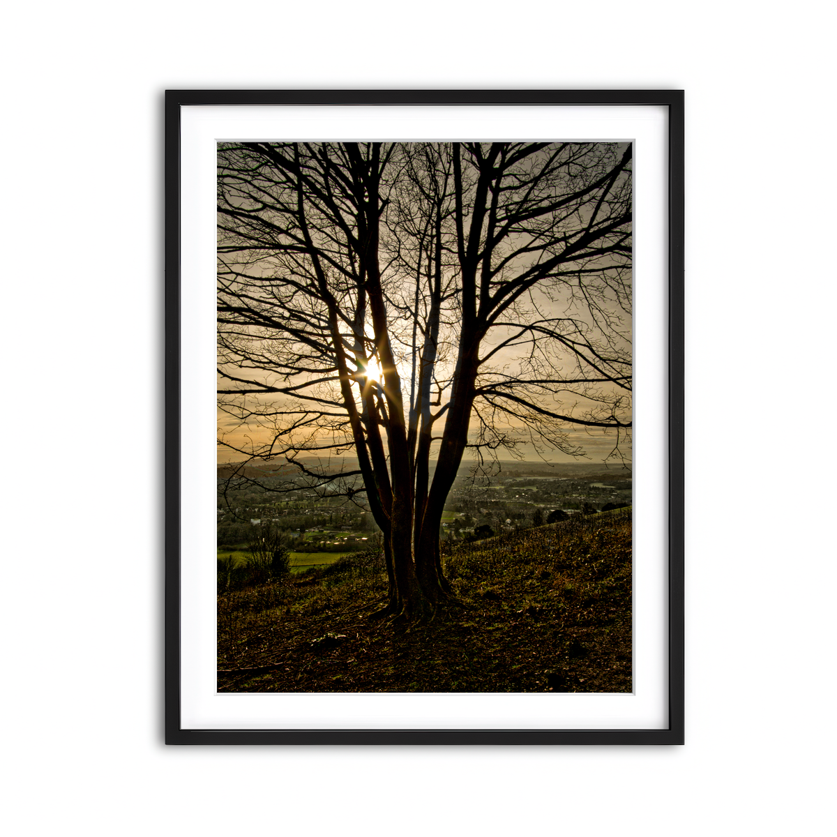 Framed Print 3x4 Black