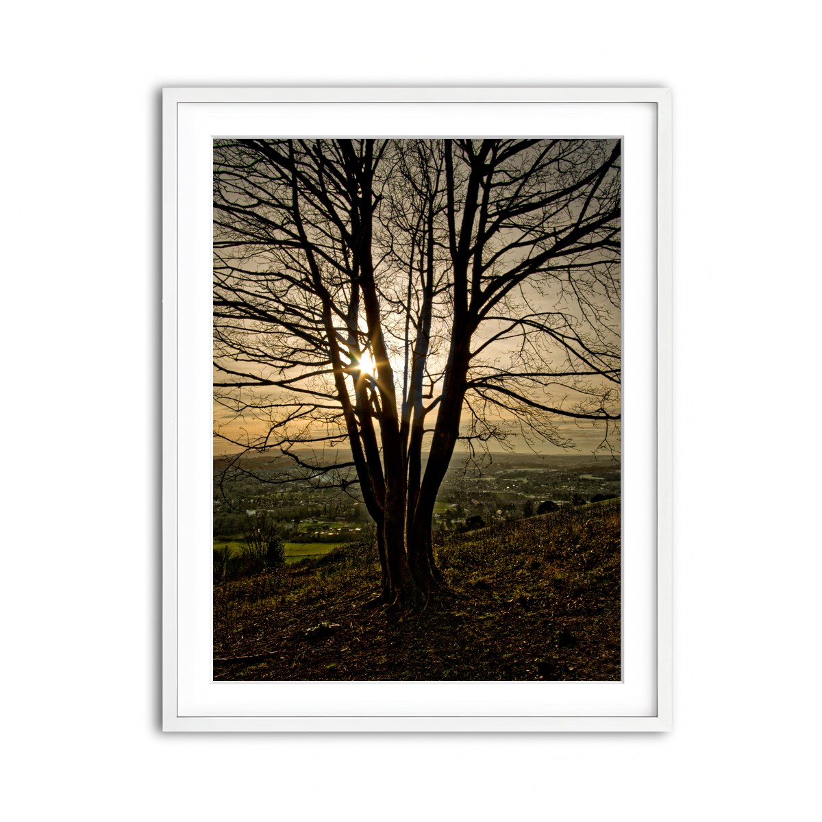 Framed Print 3x4 White