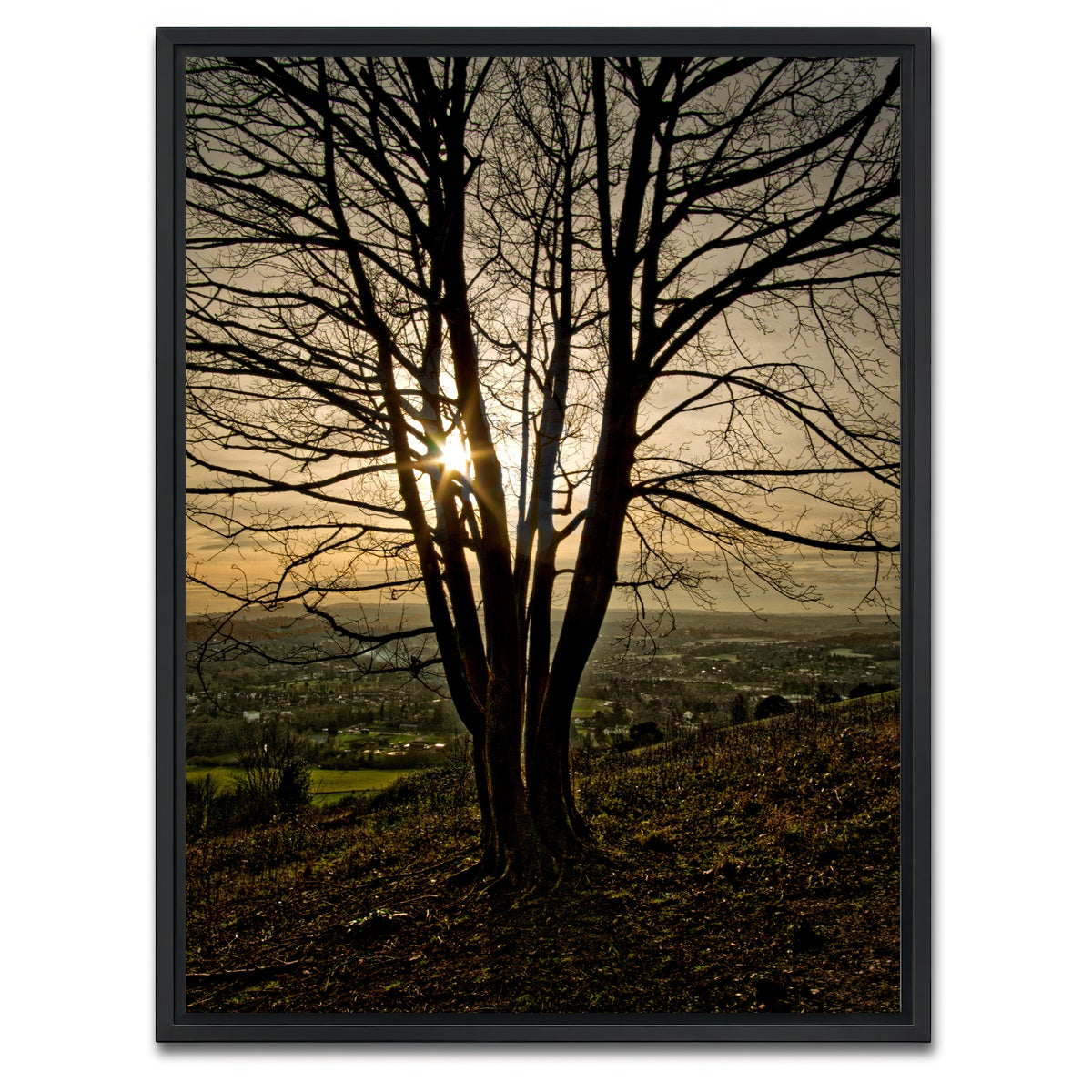 AUTO-MOCKUP WHITE | Box Hill Sunset | 1 Piece | Black Framed Canvas | group=3x4