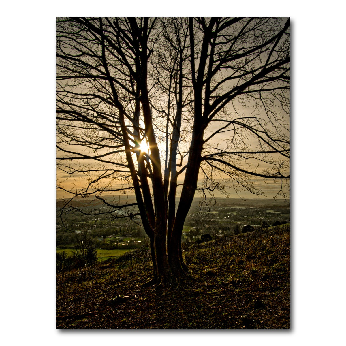 AUTO-MOCKUP WHITE | Box Hill Sunset | 1 Piece | Gallery Wrap Canvas | group=3x4
