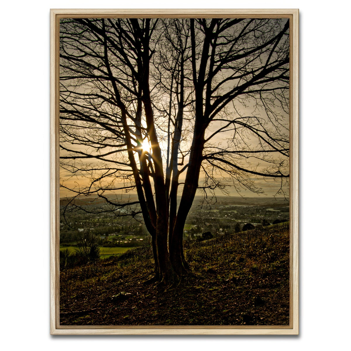 AUTO-MOCKUP WHITE | Box Hill Sunset | 1 Piece | Natural Framed Canvas | group=3x4