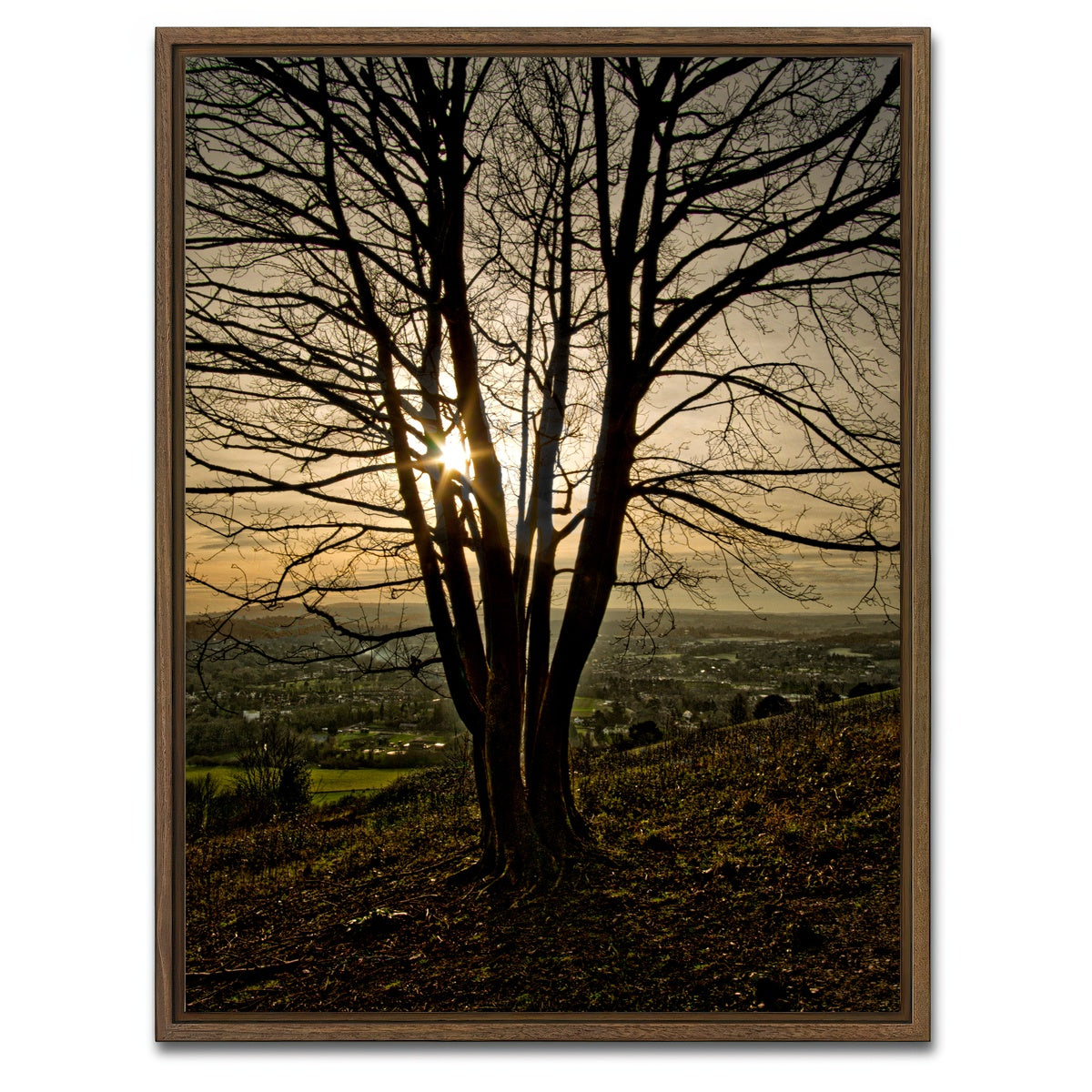 AUTO-MOCKUP WHITE | Box Hill Sunset | 1 Piece | Walnut Framed Canvas | group=3x4