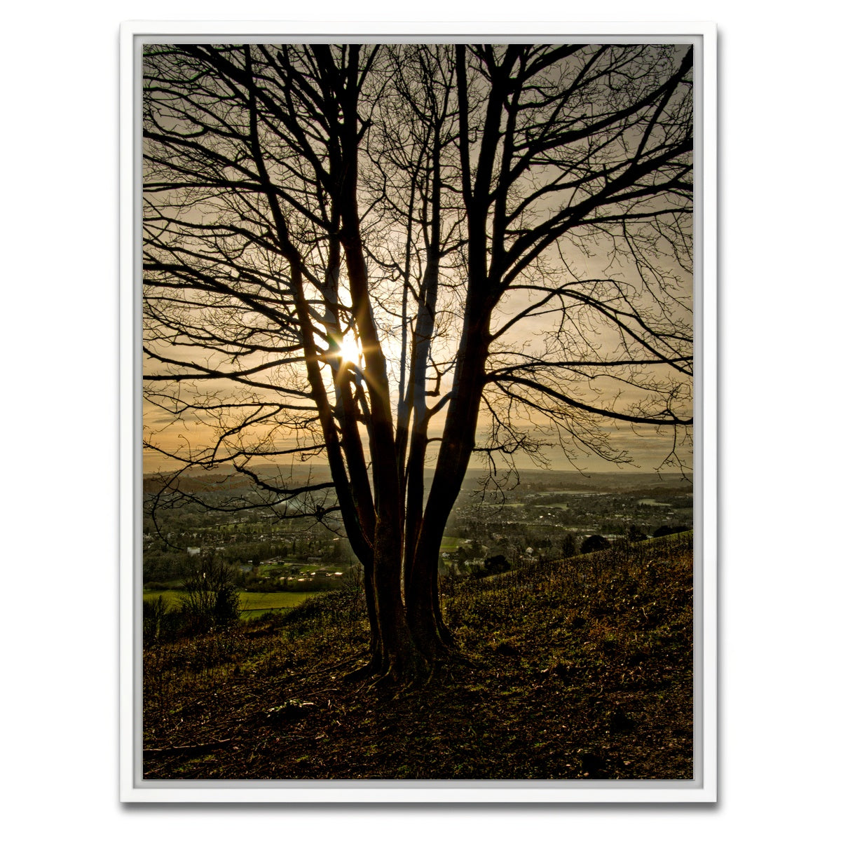 AUTO-MOCKUP WHITE | Box Hill Sunset | 1 Piece | White Framed Canvas | group=3x4