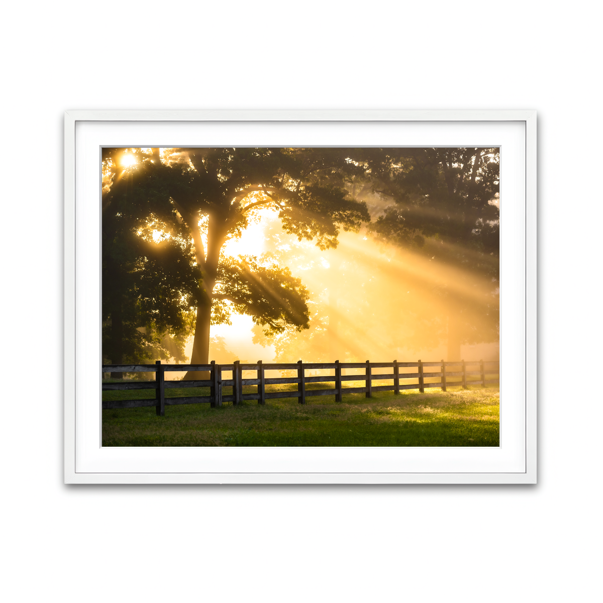 Framed Print 4x3 White