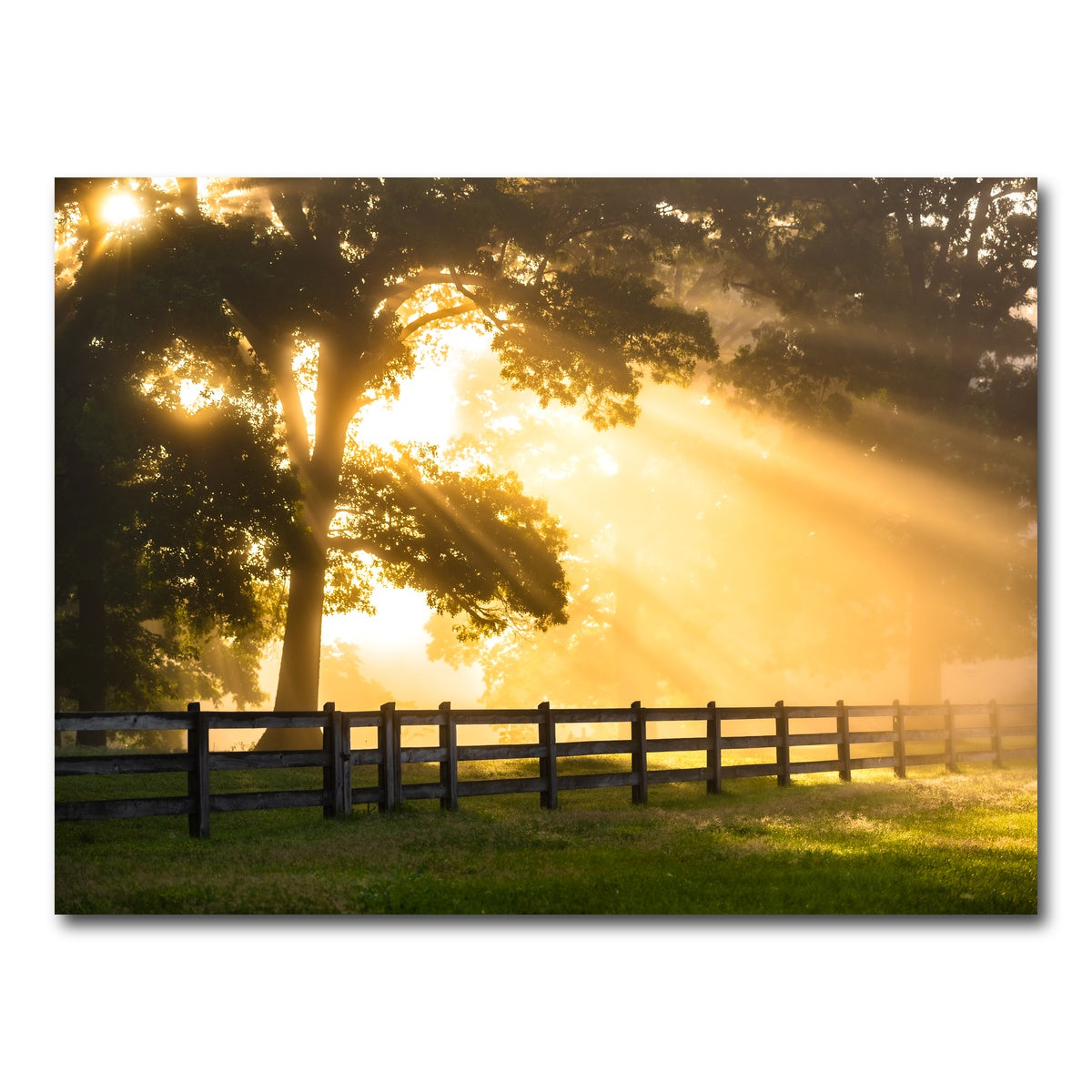 AUTO-MOCKUP WHITE | Break of Dawn | 1 Piece | Gallery Wrap Canvas | group=4x3