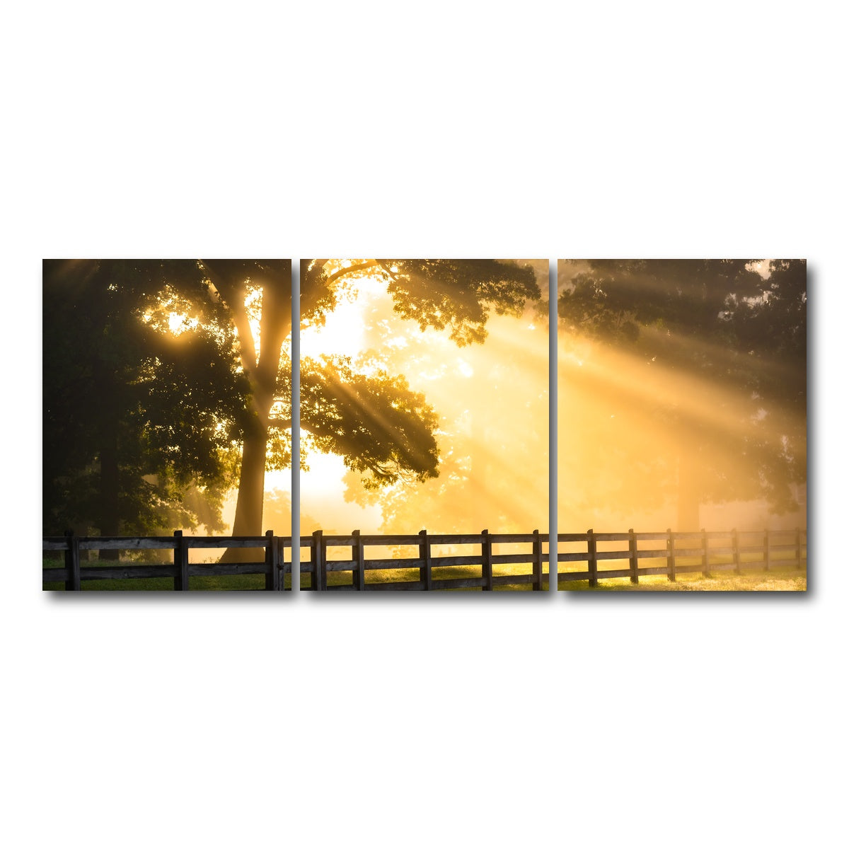 AUTO-MOCKUP WHITE | Break of Dawn | 3 Piece | Gallery Wrap Canvas | group=18x24