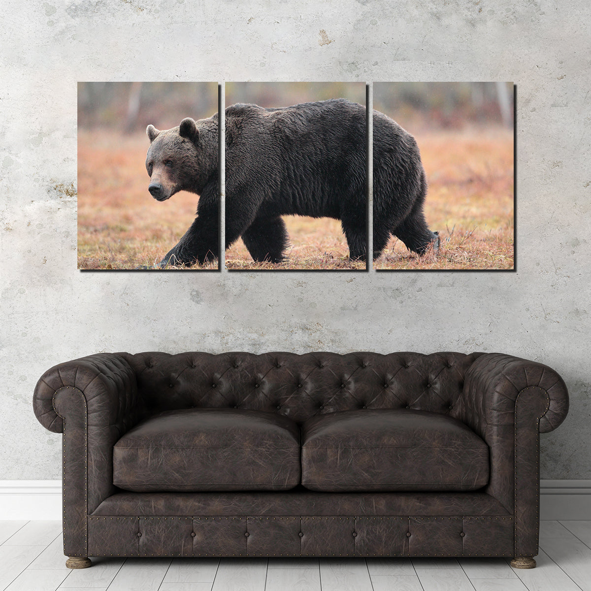 Brown Bear Wall Art