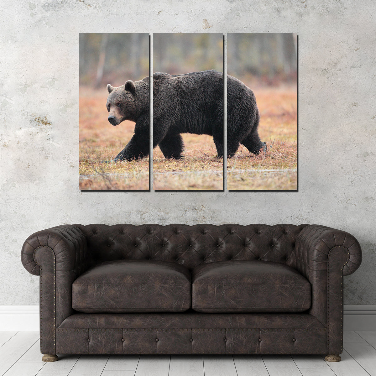 Brown Bear Wall Art