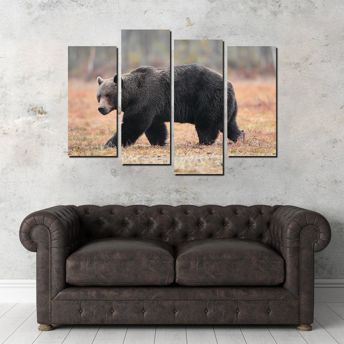 Brown Bear Wall Art