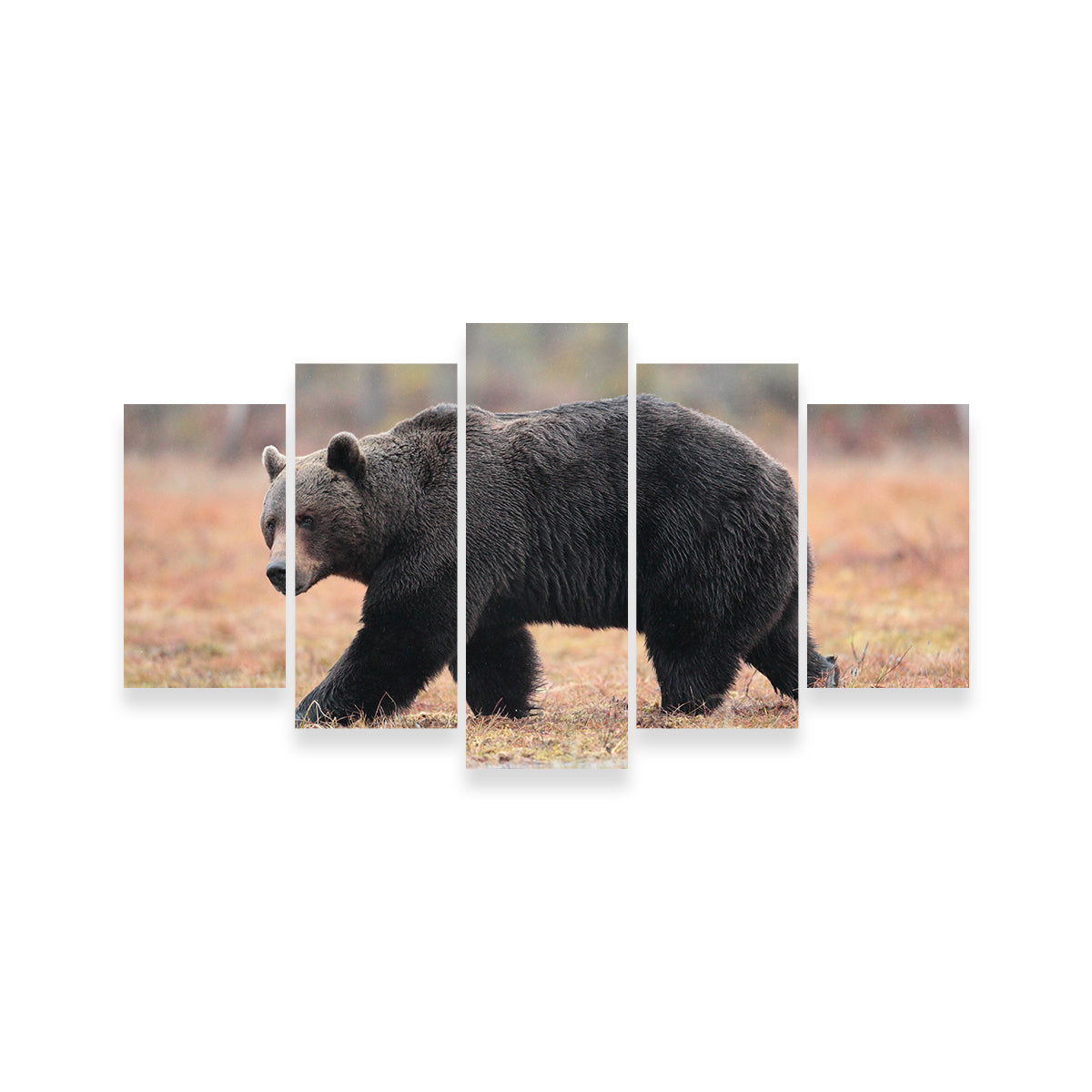 Brown Bear Wall Art