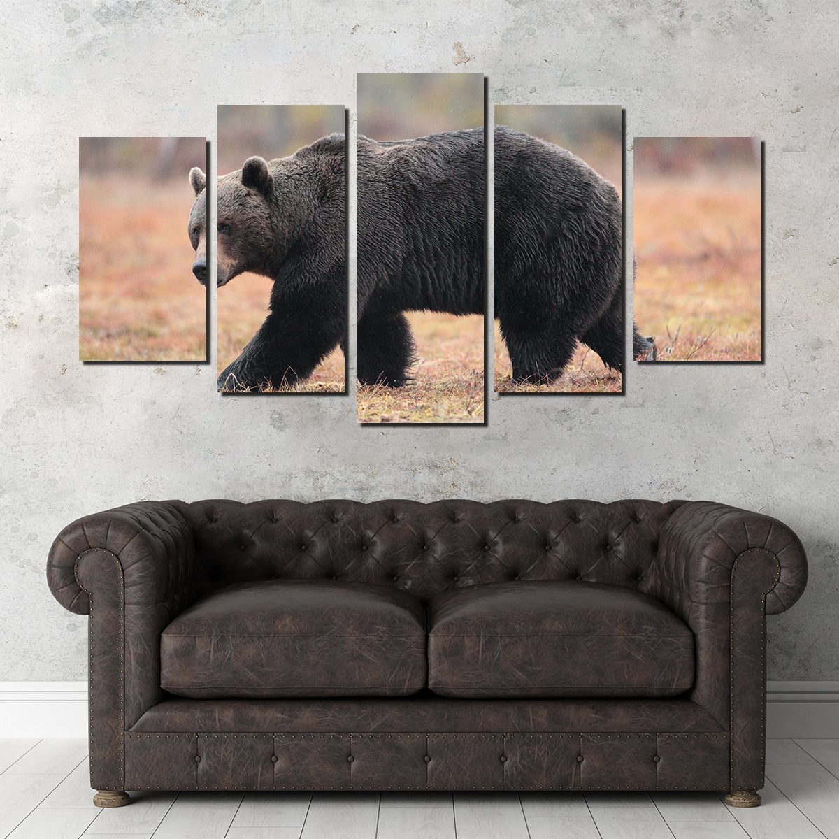 Brown Bear Wall Art