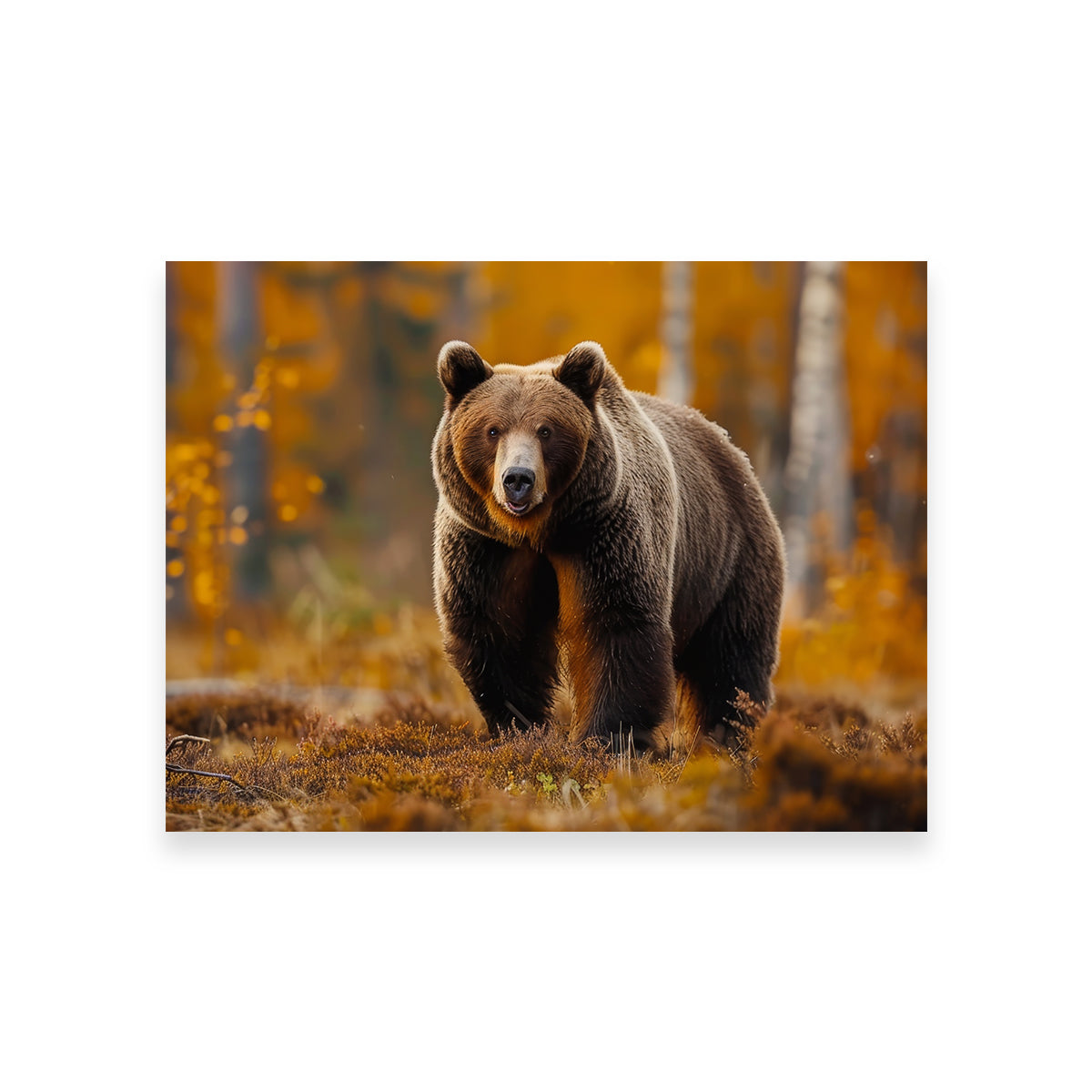 Brown Bear in Autumn Forest Wall Art