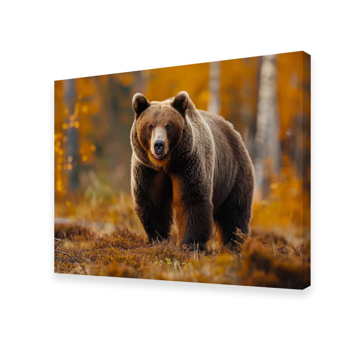 Brown Bear in Autumn Forest Wall Art