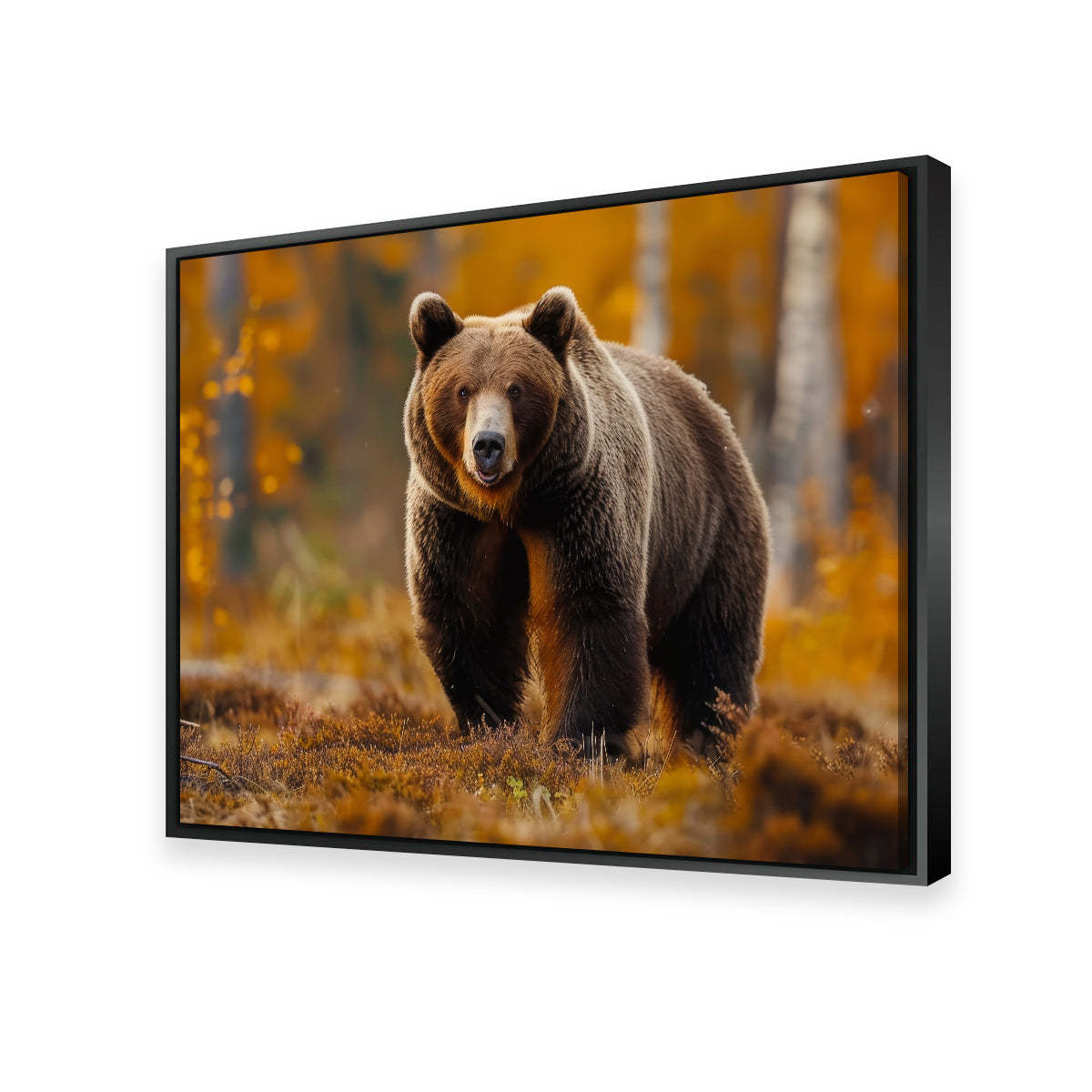 Brown Bear in Autumn Forest Wall Art