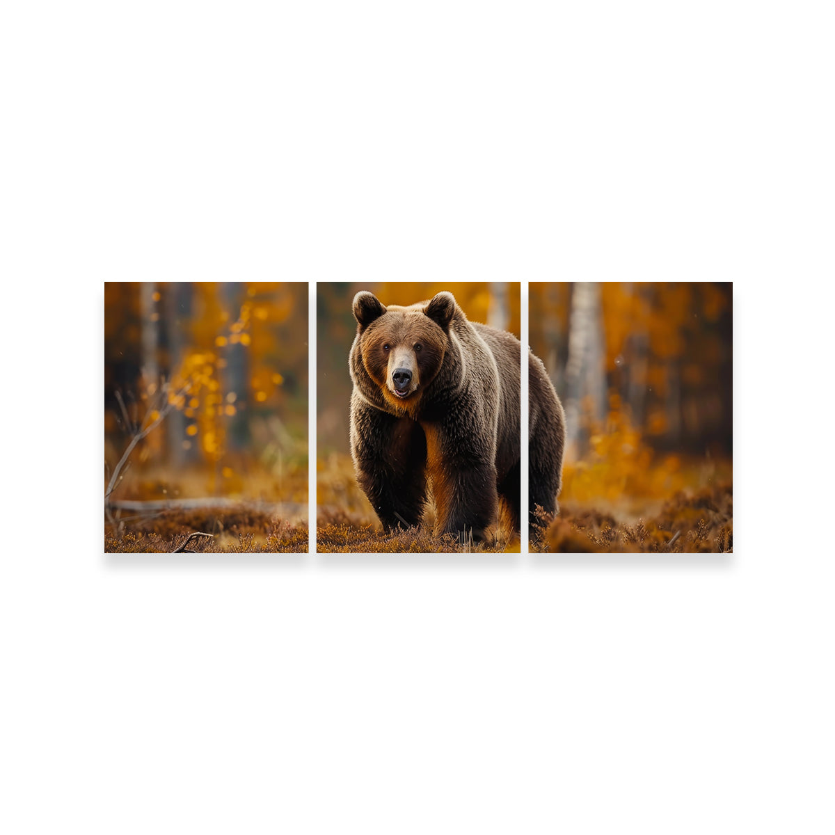 Brown Bear in Autumn Forest Wall Art