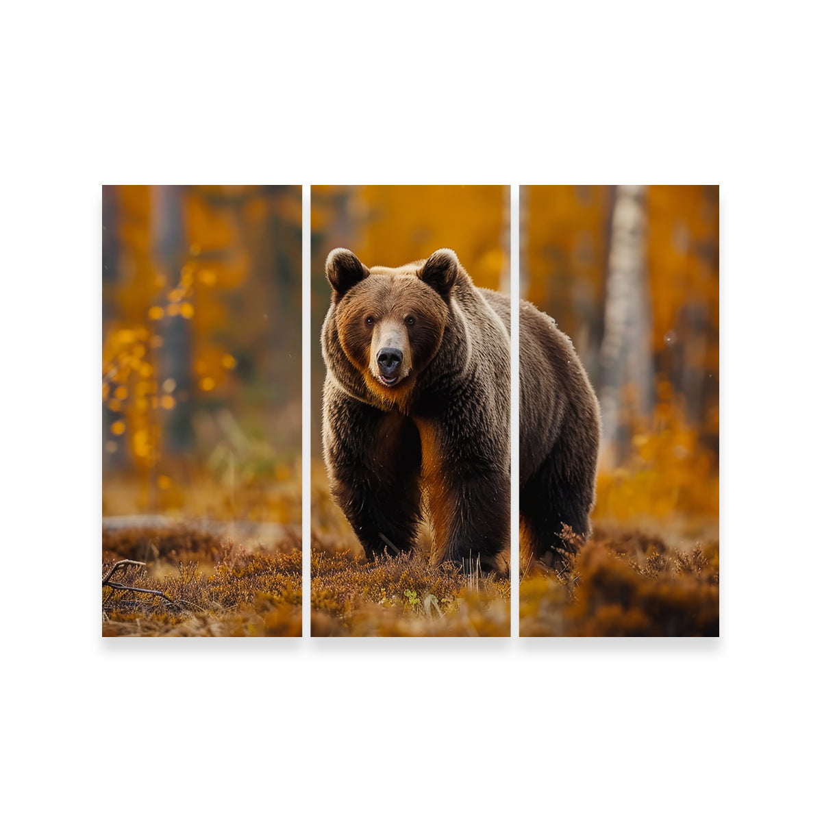 Brown Bear in Autumn Forest Wall Art