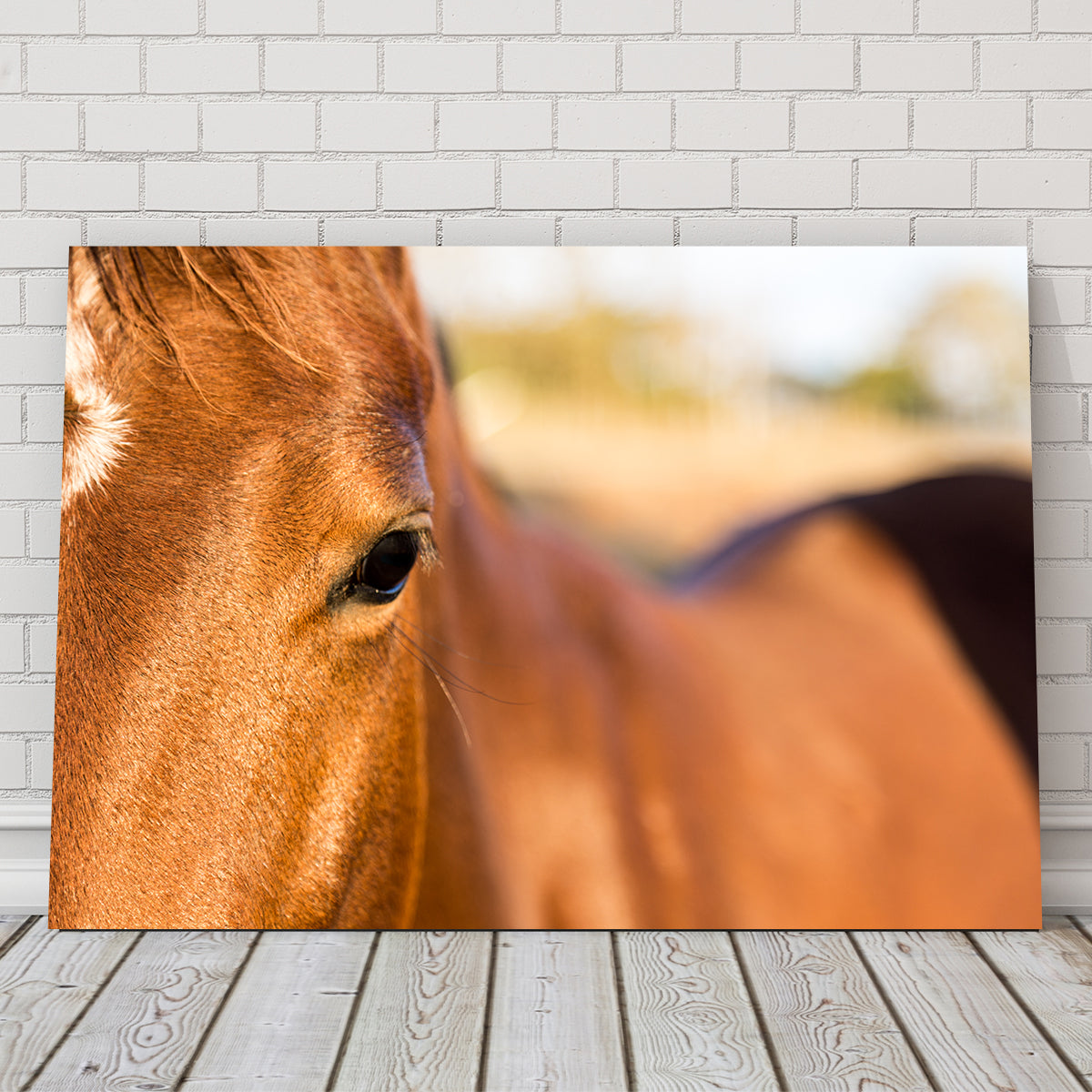 Brown Quarter Horse Wall Art