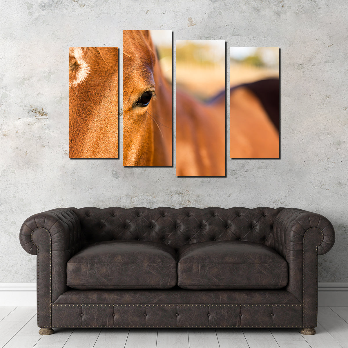 Brown Quarter Horse Wall Art